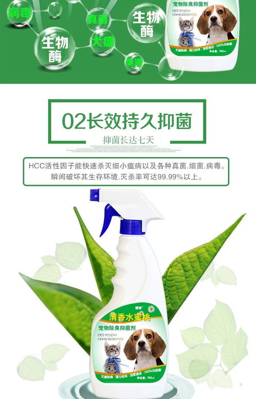 清新家居，呵护宠物 狗狗除臭剂与宠物杀菌消毒液的全面指南